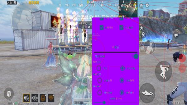 和平精英「毛豆直装」辅助外挂